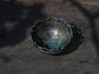 /album/villa-bennecourt-chambre-dhote/le-bol-%c3%a0-la-ronde-d%27oiseaux-sur-bois-jpg/